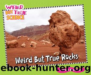 Weird But True Rocks by Carmen Bredeson
