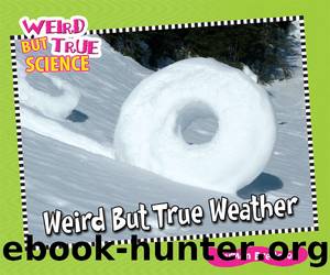 Weird But True Weather by Carmen Bredeson