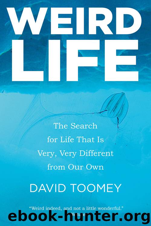 Weird Life by David Toomey