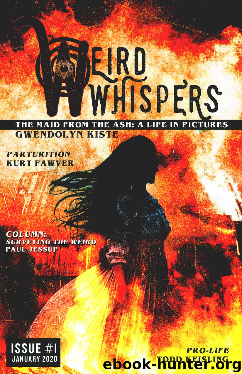 Weird Whispers Issue #1 by Robert S. Wilson