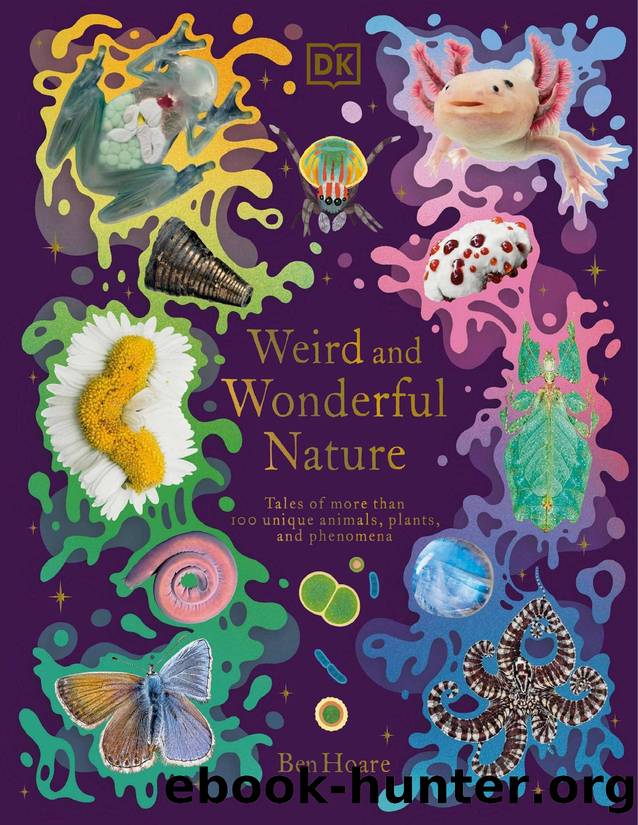 Weird and Wonderful Nature: Tales of More Than 100 Unique Animals, Plants, and Phenomena by Ben Hoare