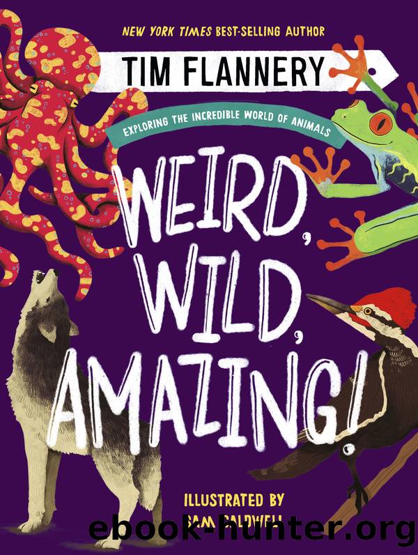 Weird, Wild, Amazing! by Tim Flannery