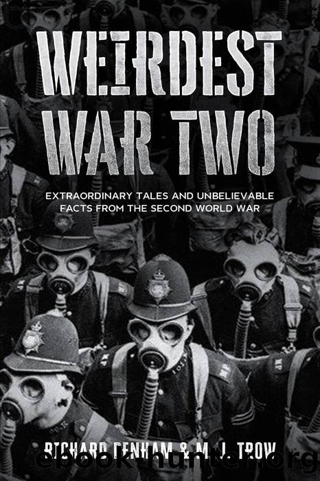 Weirdest War Two: Extraordinary Tales and Unbelievable Facts from the Second World War by M. J. Trow