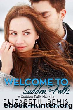 Welcome To Sudden Falls: Novella (Sudden Falls #8) by Elizabeth Bemis