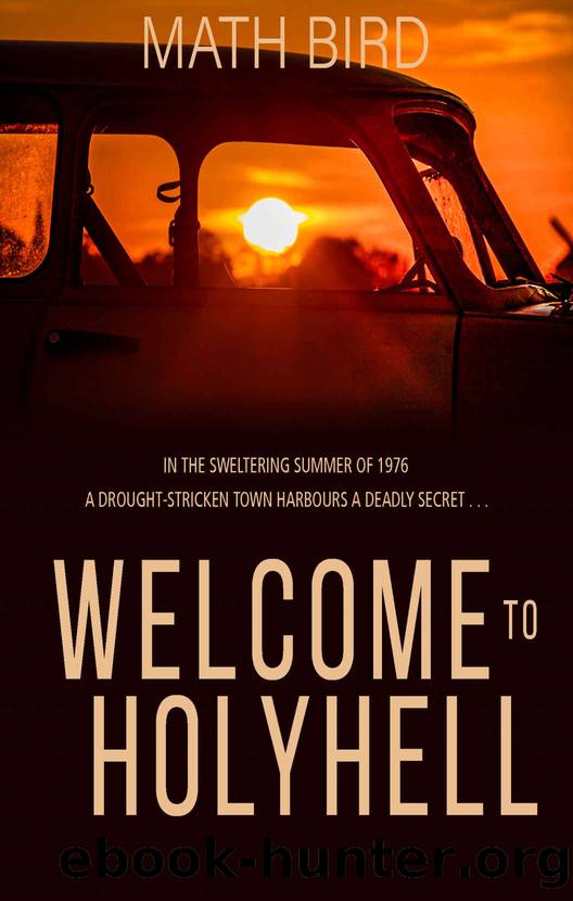 Welcome to HolyHell: a hauntingly captivating noir thriller set in the borderlands of Wales (Holyhell Crime Series Book 1) by Math Bird