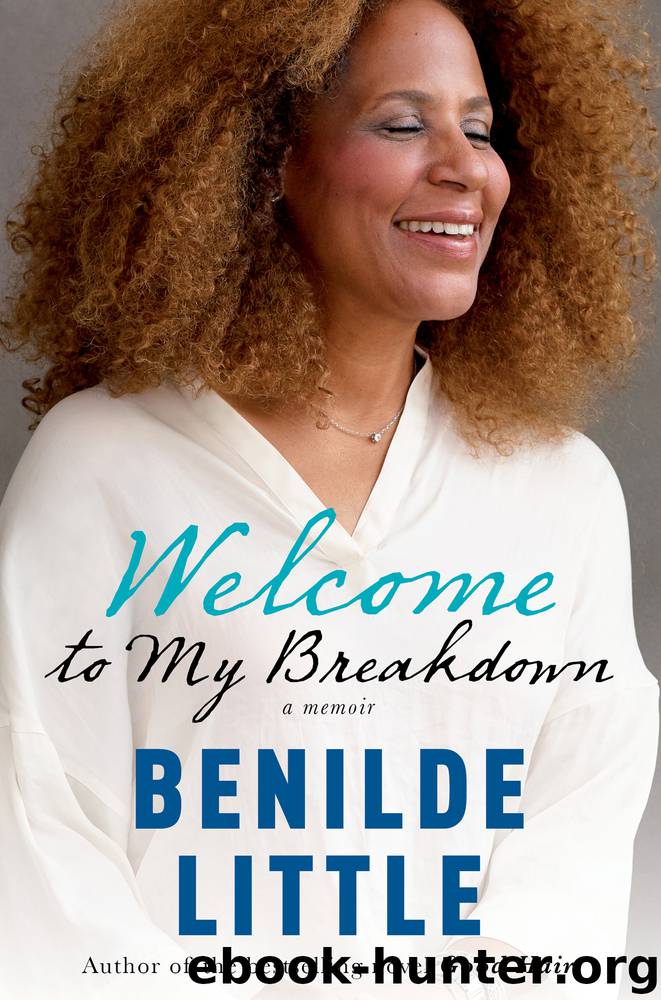 Welcome to My Breakdown by Benilde Little