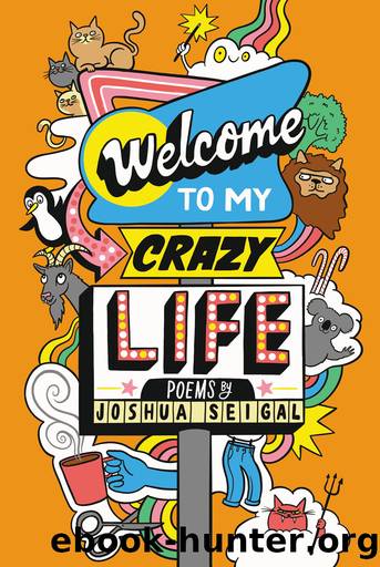 Welcome to My Crazy Life by Joshua Seigal