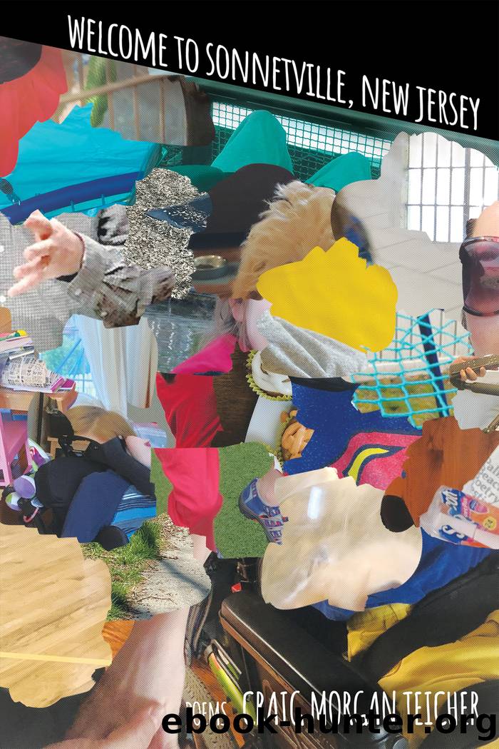 Welcome to Sonnetville, New Jersey by Craig Morgan Teicher