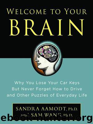 Welcome to Your Brain: Why You Lose Your Car Keys but Never Forget How to Drive and Other Puzzles of Everyday Life by Wang Sam & Sandra Aamodt