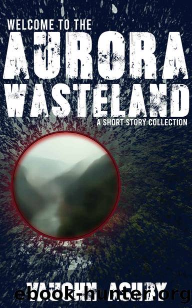 Welcome to the Aurora Wasteland by Vaughn Ashby