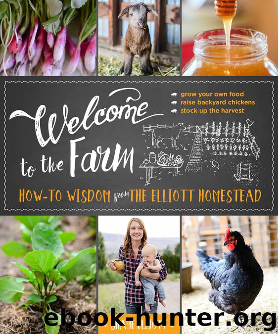 Welcome to the Farm by Shaye Elliott