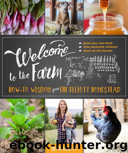 Welcome to the Farm: How-to Wisdom from The Elliott Homestead by Shaye Elliott