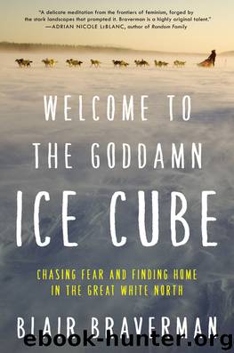 Welcome to the Goddamn Ice Cube by Blair Braverman