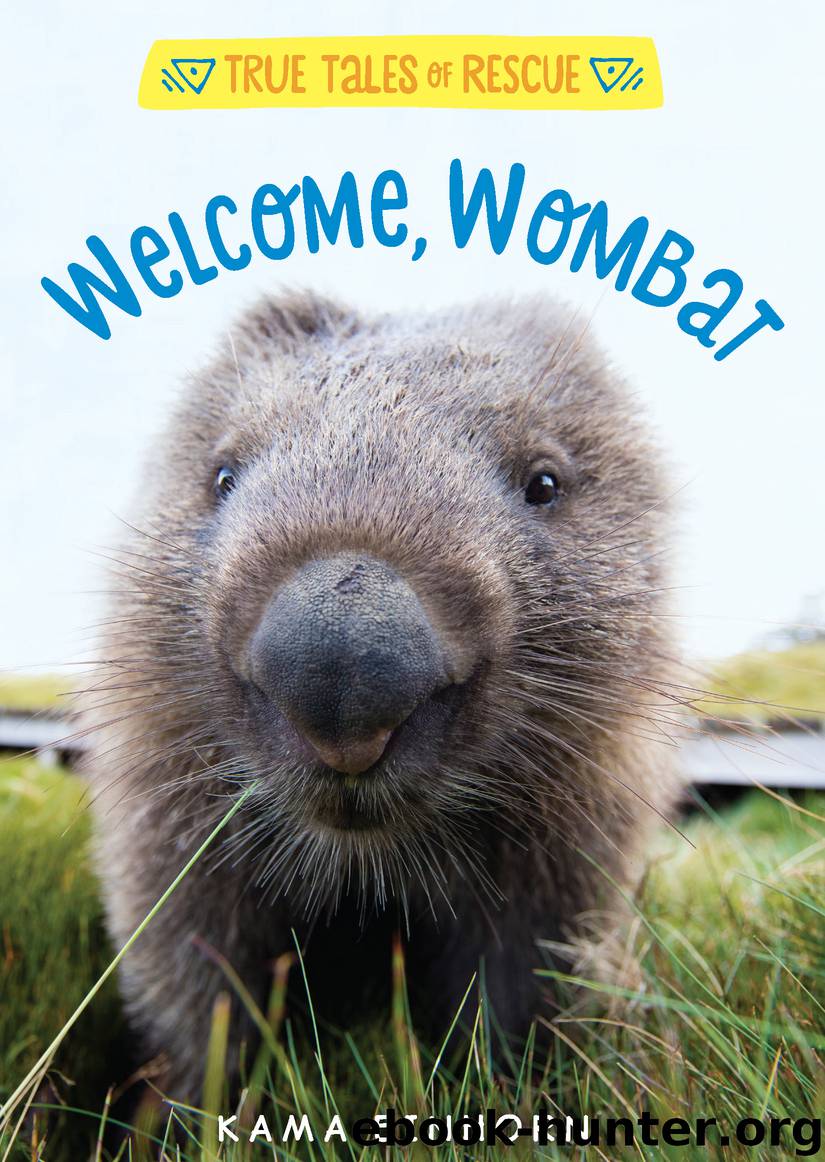 Welcome, Wombat by Kama Einhorn