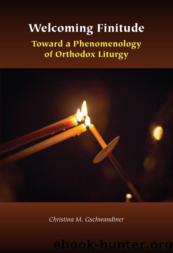 Welcoming Finitude by Christina M. Gschwandtner;