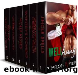 Well Hung: Forbidden Romance Christmas Boxset by Penelope Wylde