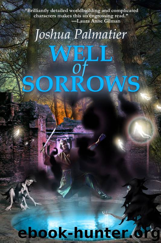 Well of Sorrows by Joshua Palmatier