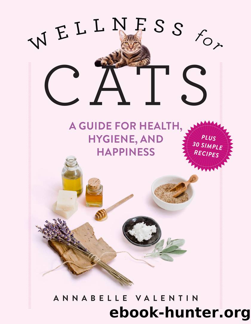 Wellness for Cats by Annabelle Valentin