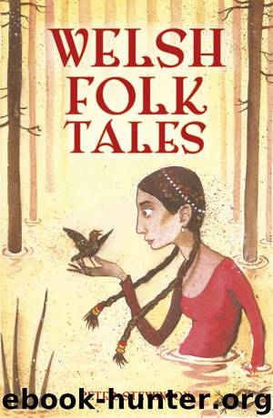 Welsh Folk Tales by Peter Stevenson