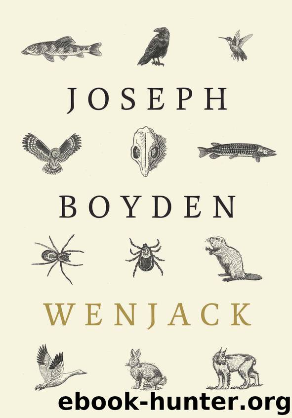 Wenjack by Joseph Boyden