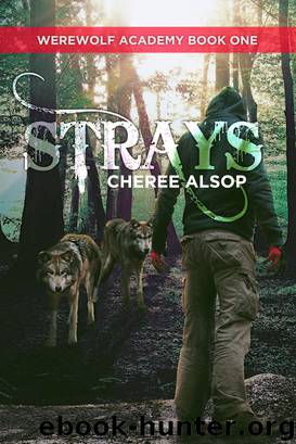 Werewolf Academy Book 1 by Cheree Alsop