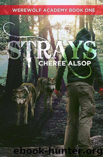Werewolf Academy Book 1: Strays by Cheree Alsop