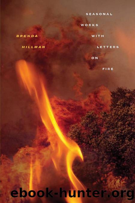 Wesleyan Poetry : Seasonal Works with Letters on Fire by Hillman Brenda(Author)
