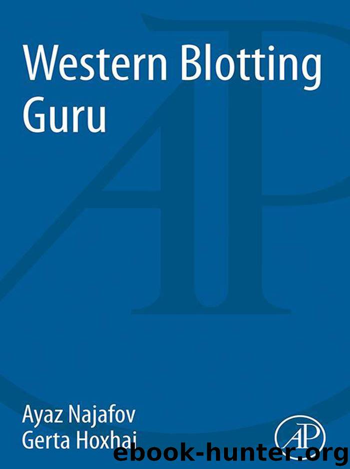 Western Blotting Guru by Ayaz Najafov Gerta Hoxhaj & Gerta Hoxhaj
