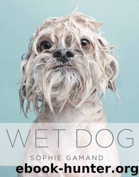 Wet Dog by Sophie Gamand