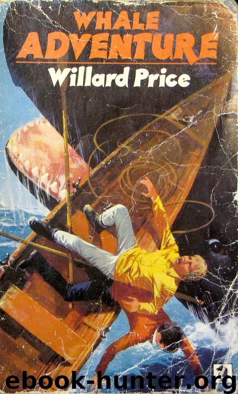 Whale Adventure by Willard Price