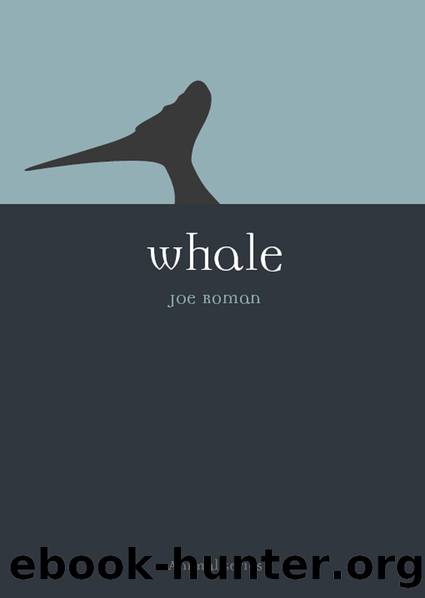 Whale by Joe Roman