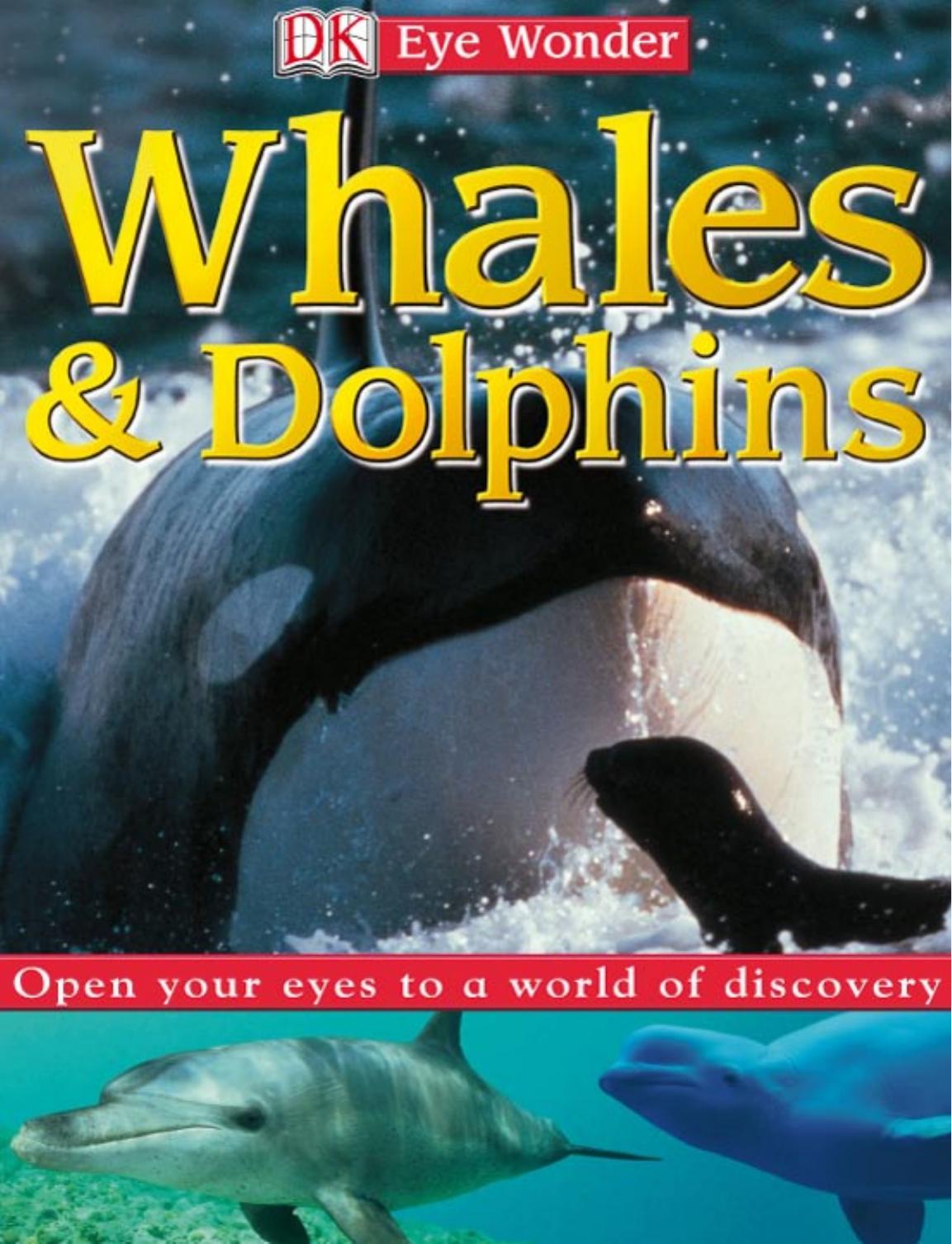 Whales and Dolphins (Eye Wonder) by DK Publishing