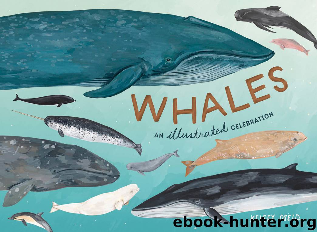 Whales by Kelsey Oseid