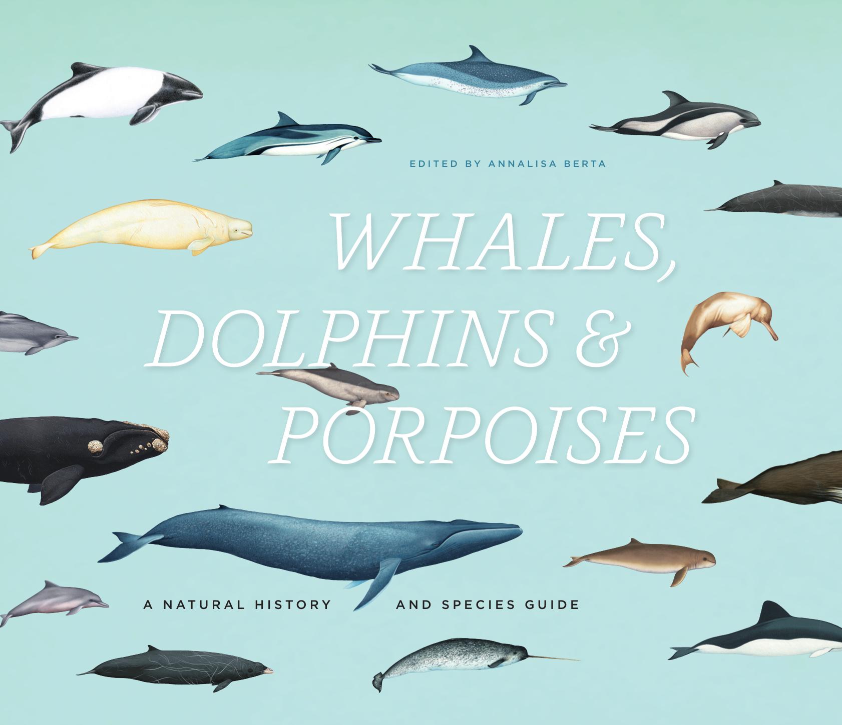 Whales, Dolphins, and Porpoises: A Natural History and Species Guide by Annalisa Berta