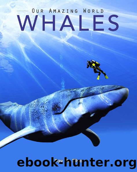 Whales: Amazing Pictures & Fun Facts on Animals in Nature (Our Amazing World Series Book 1) by Kay de Silva