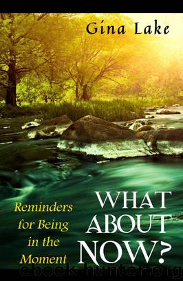 What About Now?: Reminders for Being in the Moment by Gina Lake