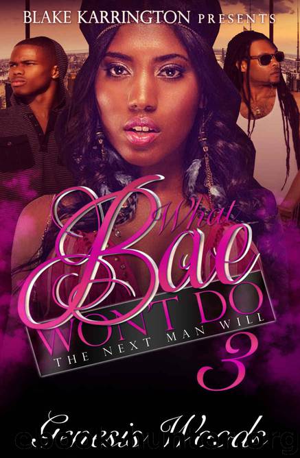 What Bae Won't Do 3: The Next Man Will by Genesis Woods