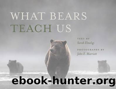 What Bears Teach Us by Sarah Elmeligi