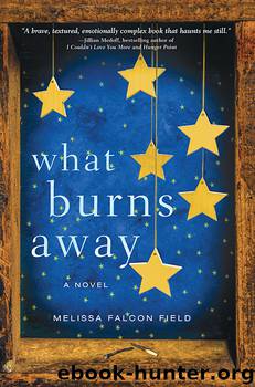 What Burns Away by Melissa Falcon Field