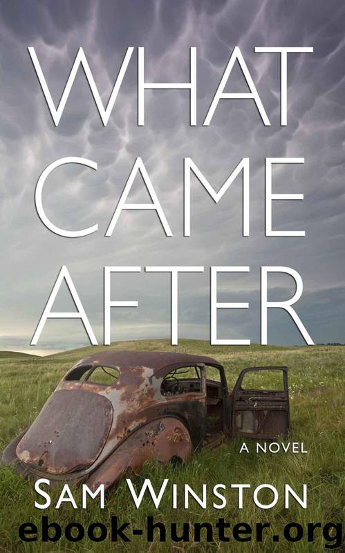 What Came After by Sam Winston