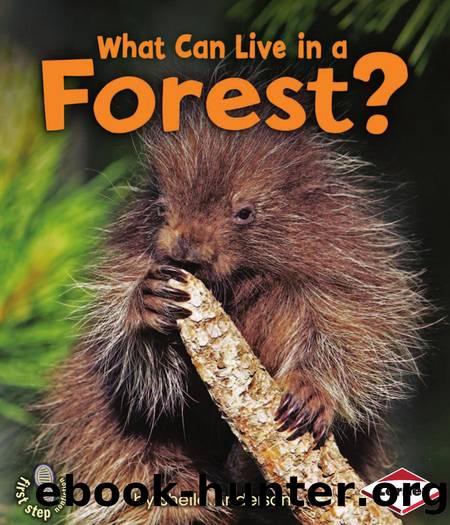 What Can Live in a Forest? by Anderson Sheila