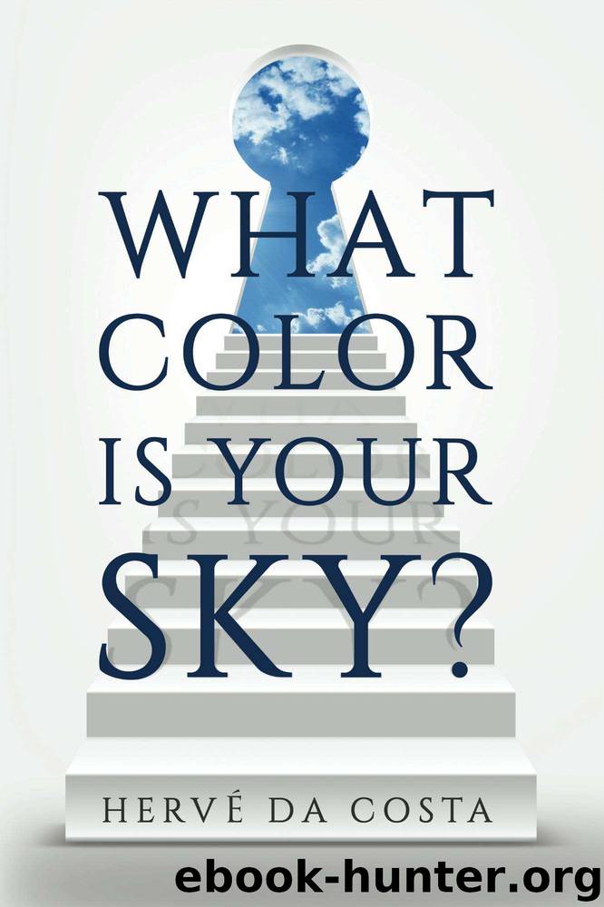 What Color Is Your Sky?: Seven Steps to Create a Future Beyond Your Dreams by Hervé Da Costa