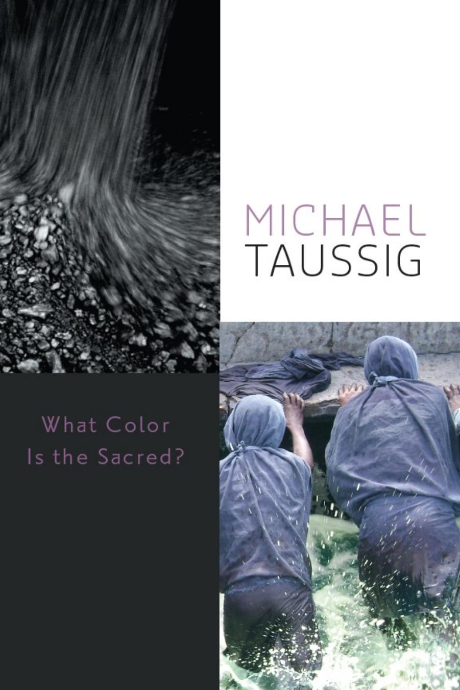What Color Is the Sacred? by Michael Taussig