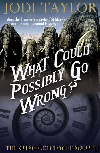 What Could Possibly Go Wrong? by Jodi Taylor
