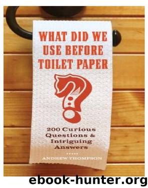What Did We Use Before Toilet Paper? by Andrew Thompson