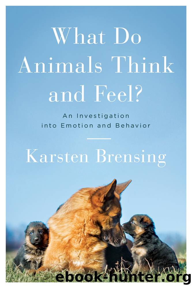 What Do Animals Think and Feel? by Karsten Brensing
