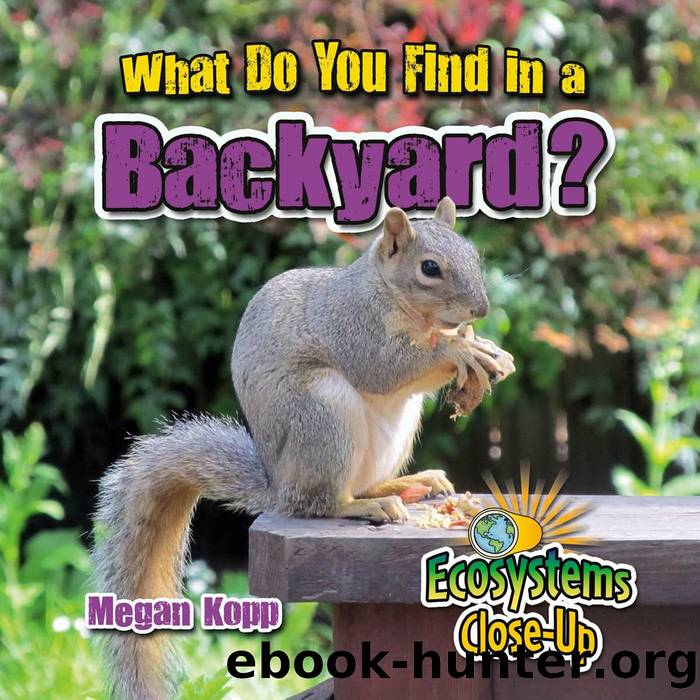 What Do You Find in a Backyard? by Megan Kopp