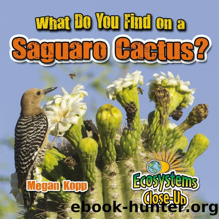 What Do You Find on a Saguaro Cactus? by Megan Kopp