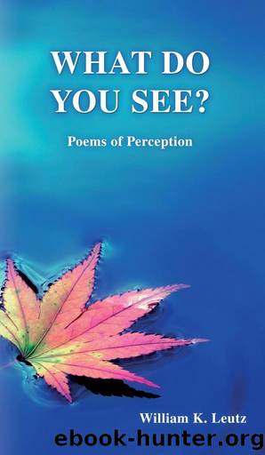 What Do You See?: Poems of Perception by William K. Leutz