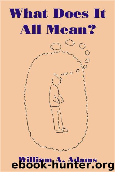 What Does It All Mean? by William A. Adams
